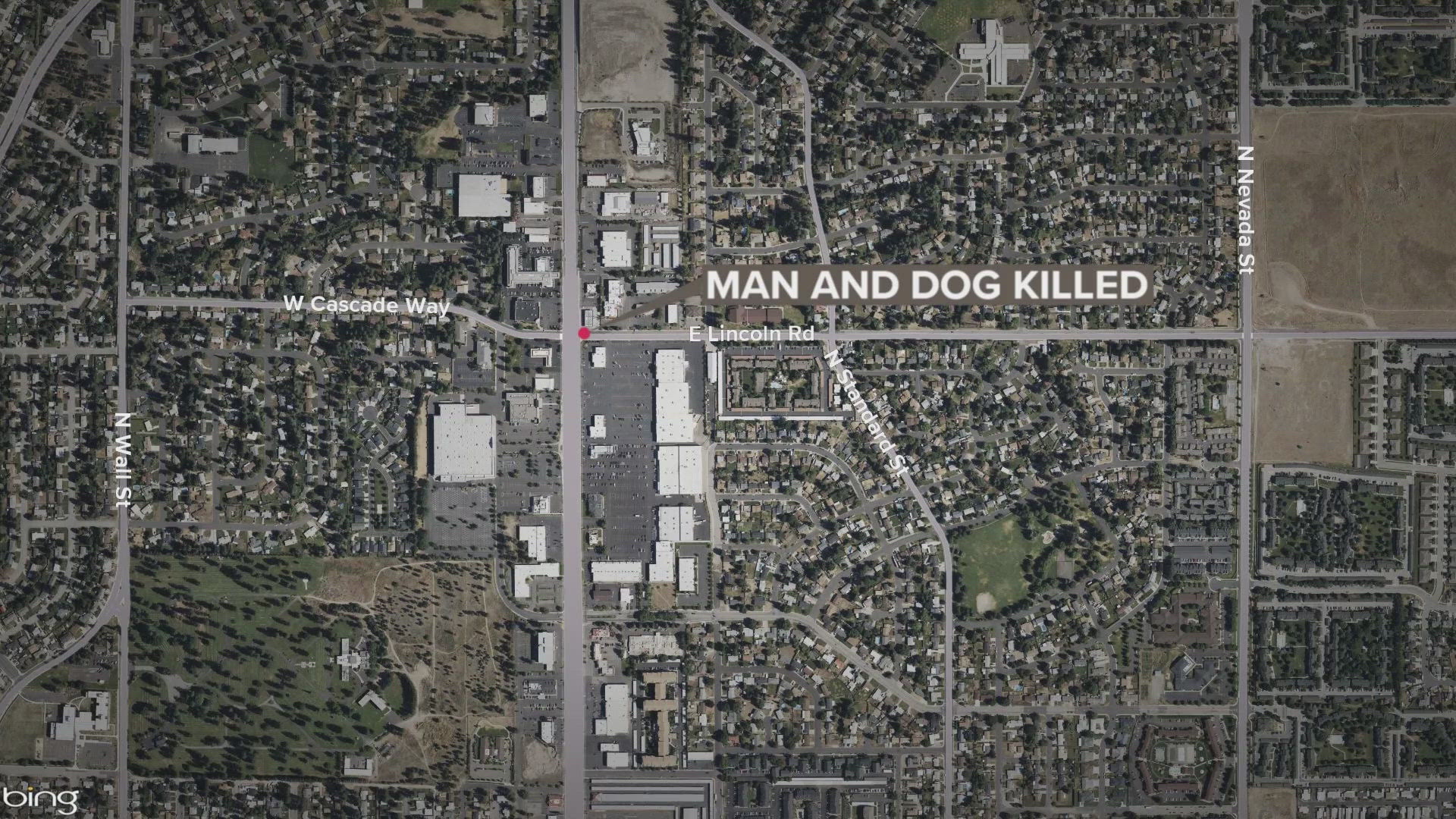 Spokane Police say a pickup truck driver swerved to avoid another car and hit and killed a man walking his dog on Friday night.