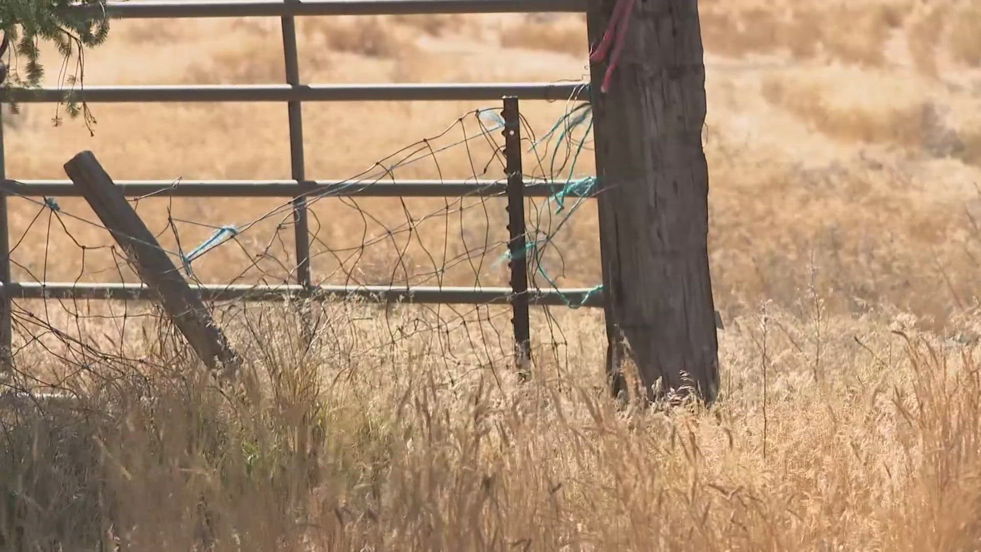 The woman was released from the hospital Wednesday morning. The owners of the six pitbulls volunteered the dogs to be taken into custody.