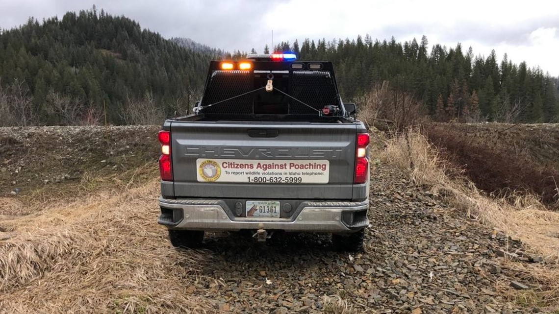 Idaho Fish and Game seeking info after 6 tundra swans found shot