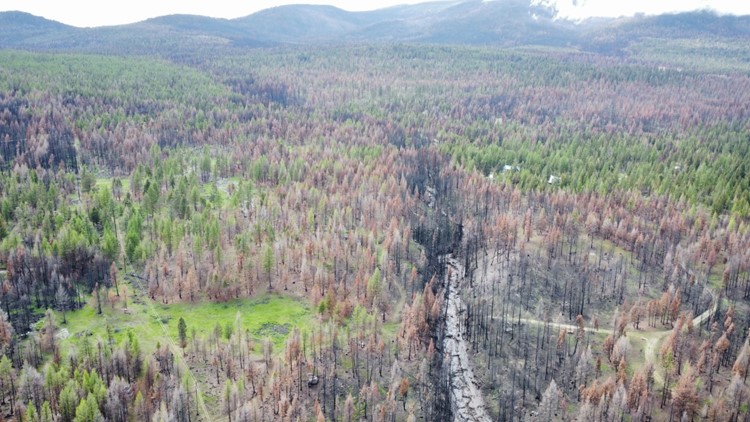 DNR: Prescribed burn happening on 140 acres in Okanogan County