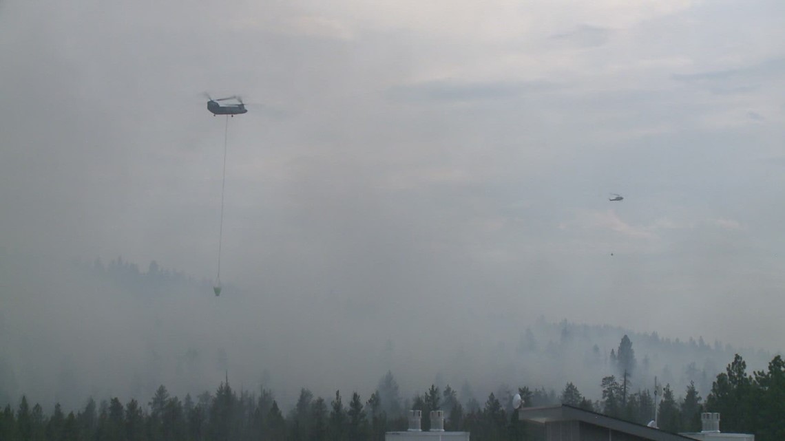 Post Falls Community Forest still mostly closed months after fire - Vimarsana News