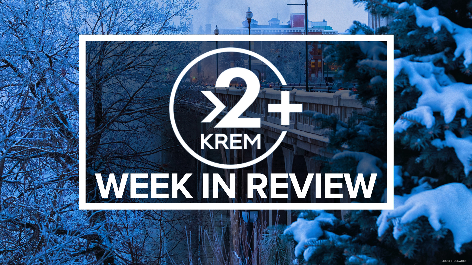 KREM 2 investigates apex predators in Washington, Spokane holiday events, Idaho therapy dog is up for a national award, and 25 Years of Tom's Turkey Drive.