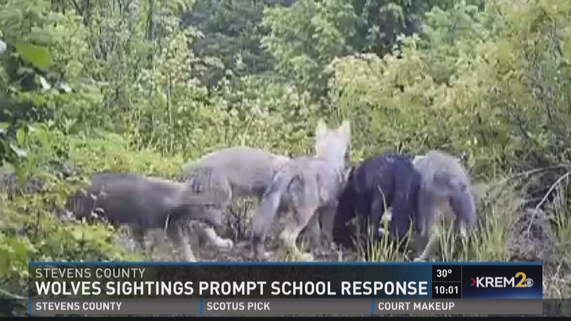 KREM 2's Ryan Simms investigates the protocols behind keeping children safe after a nearby wildlife attack.