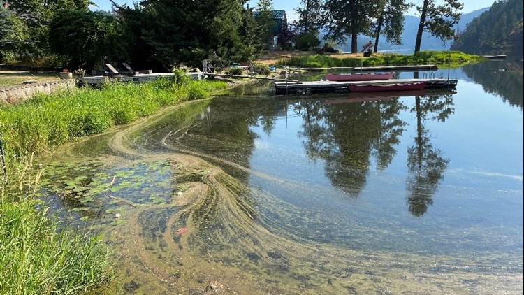 Algae bloom brings health advisory for Fernan Lake in Coeur d’Alene