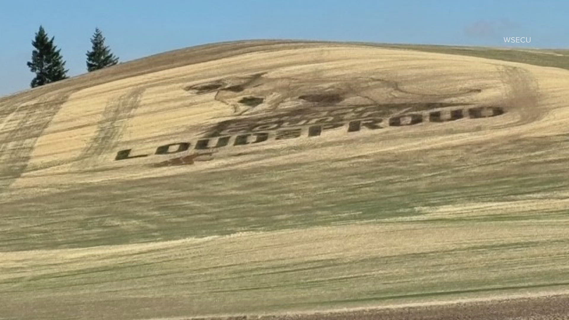 The crop mural is not permanent, but Washington State Employee Credit Union, who commissioned the piece this year, had hoped it would last until WSU's Homecoming.