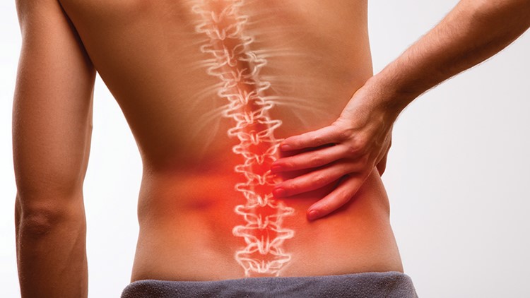 Spine | Back and Disc Pain