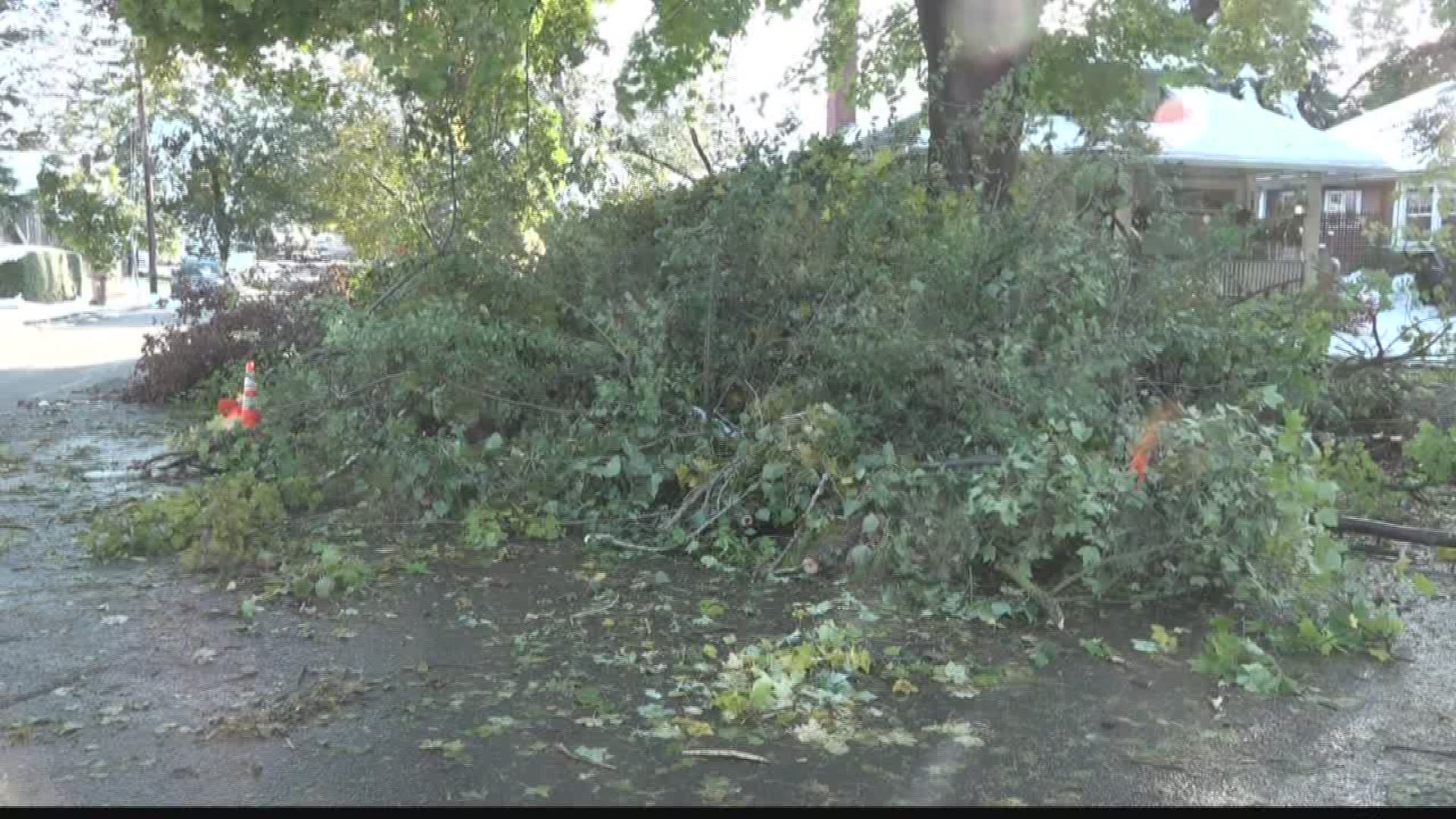 The South Hill neighborhood was among the hardest hit by a Tuesday night snowstorm that brought down trees and power lines.