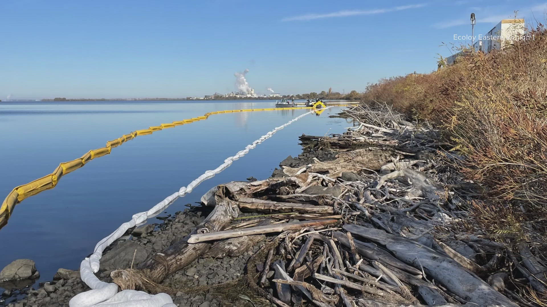 The Department of Ecology said a train derailed near Wallula, spilling diesel onto the riverbank and into the Columbia River.