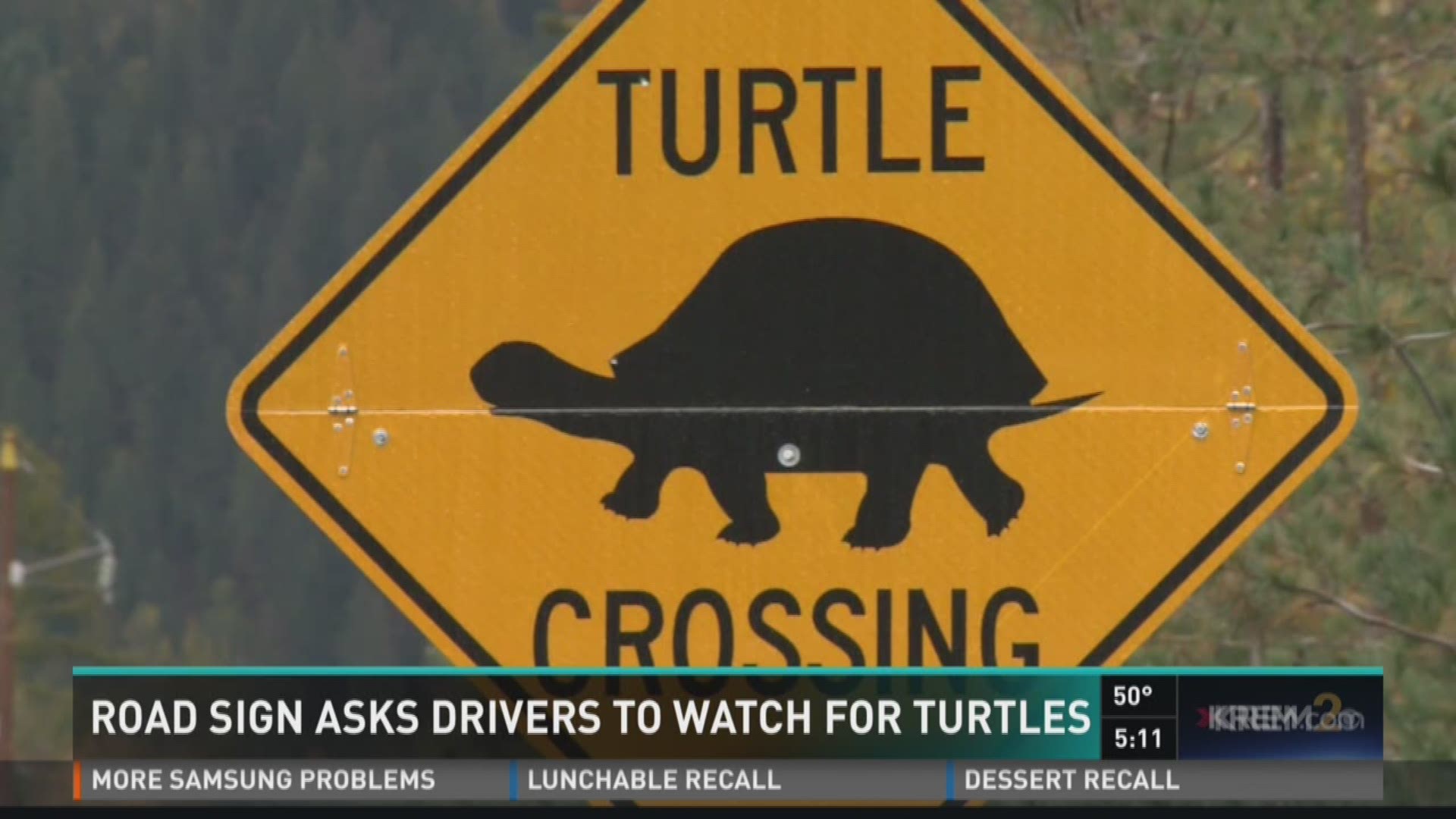 KREM 2's Taylor Viydo reports on an unusual sign on the side of the road in Bonner County. (10/10/16)