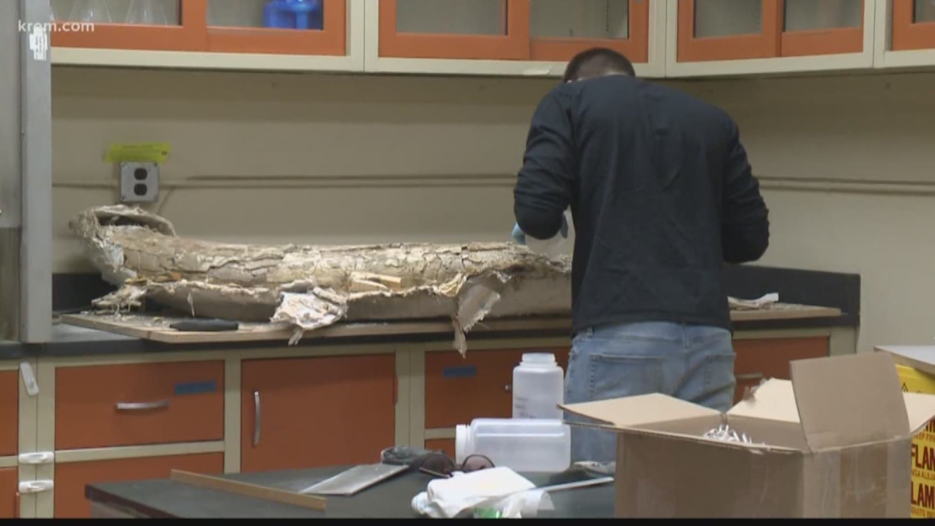 KREM Reporter Taylor Viydo spoke with researchers at the University of Idaho about how they are using CT scans to research mammoth bones.