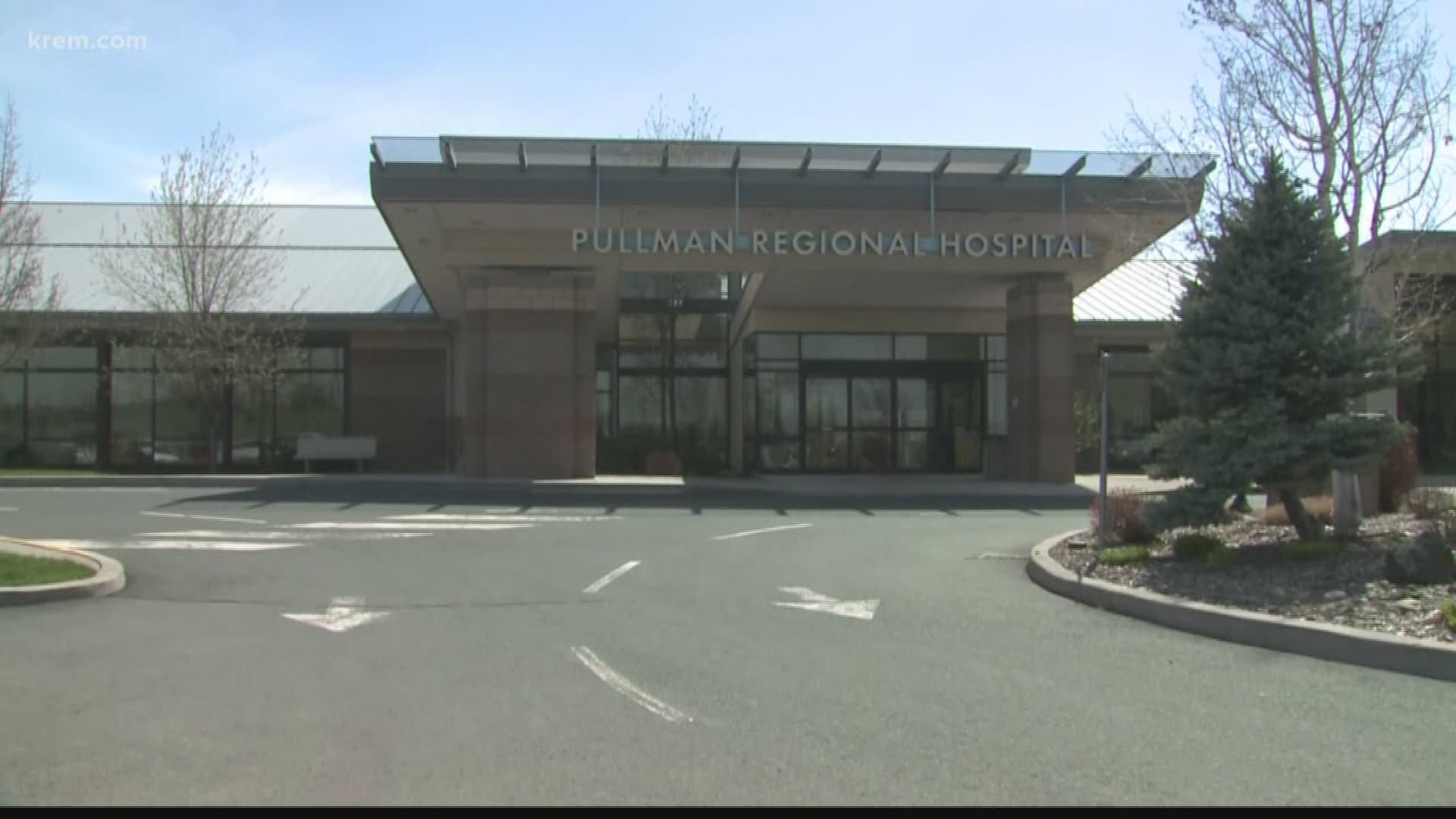 KREM Reporter Taylor Viydo spoke with nurses and staff at Pullman Regional Hospital to get their reactions to comments by Washington Sen. Maureen Walsh (R-Walla Walla) about nurses in small hospitals playing cards.