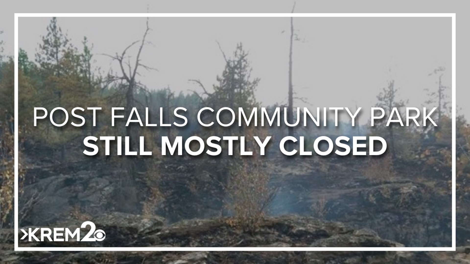 The 500-acre Community Forest was extensively burned when the Parkway Fire tore through the area Aug. 4, 2023.