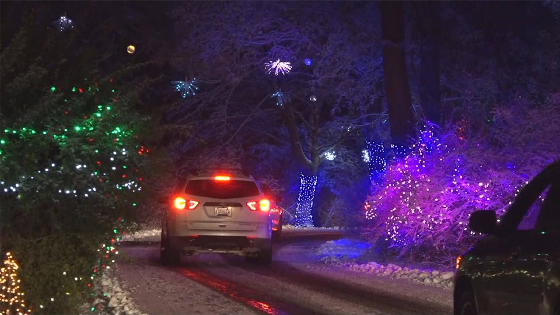 Manito Christmas Lights 2022 Manito Park Christmas Lights Back | Krem.com