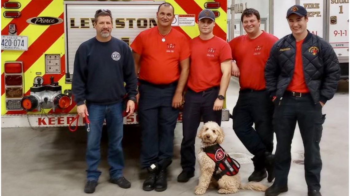 Spokane County fire sends therapy dog to Maine following mass shooting - Vimarsana News