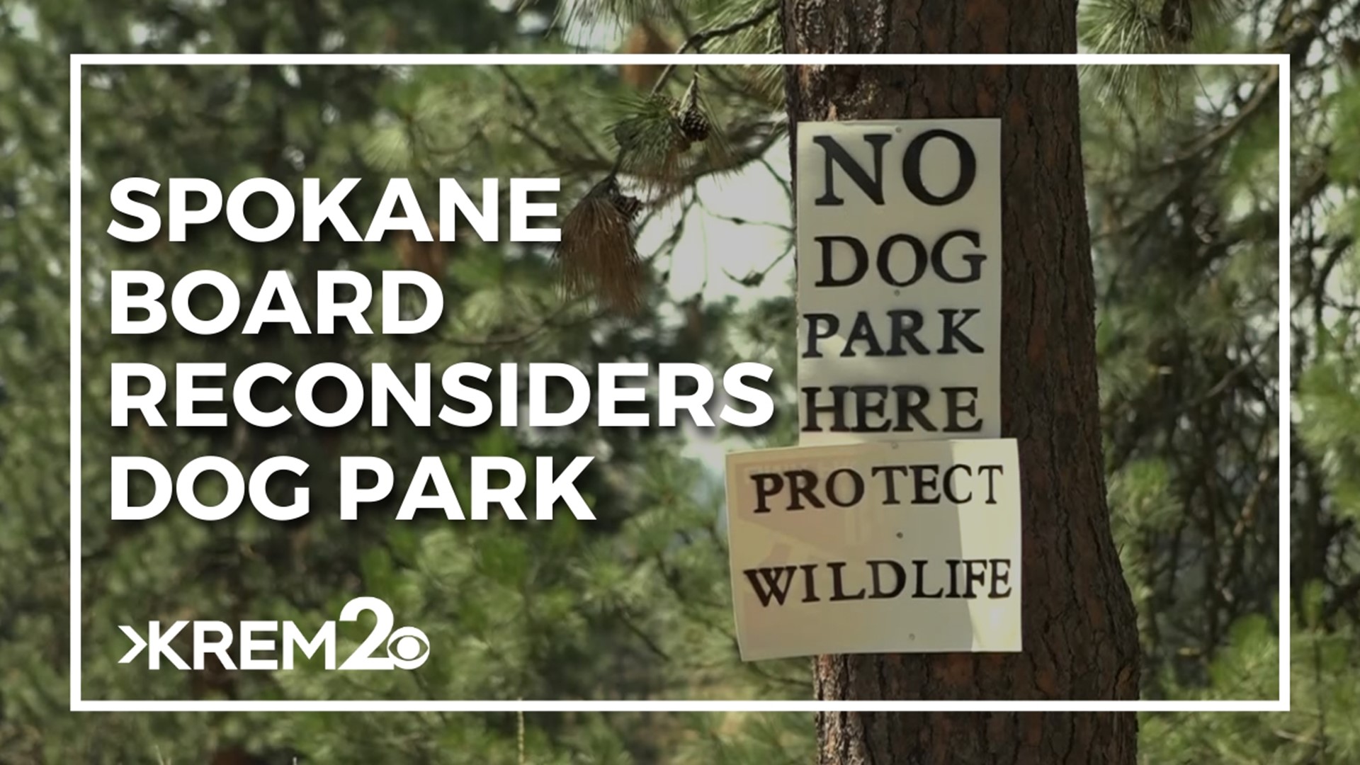 Thursday, the Spokane Parks board will consider a resolution to withdraw its selection of Upriver Drive for the location of a new dog park.