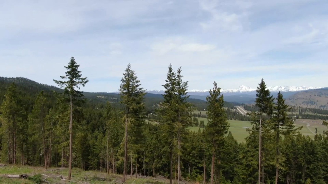 U.S. Capitol Christmas Tree will come from Idaho's Nez Perce-Clearwater National Forest