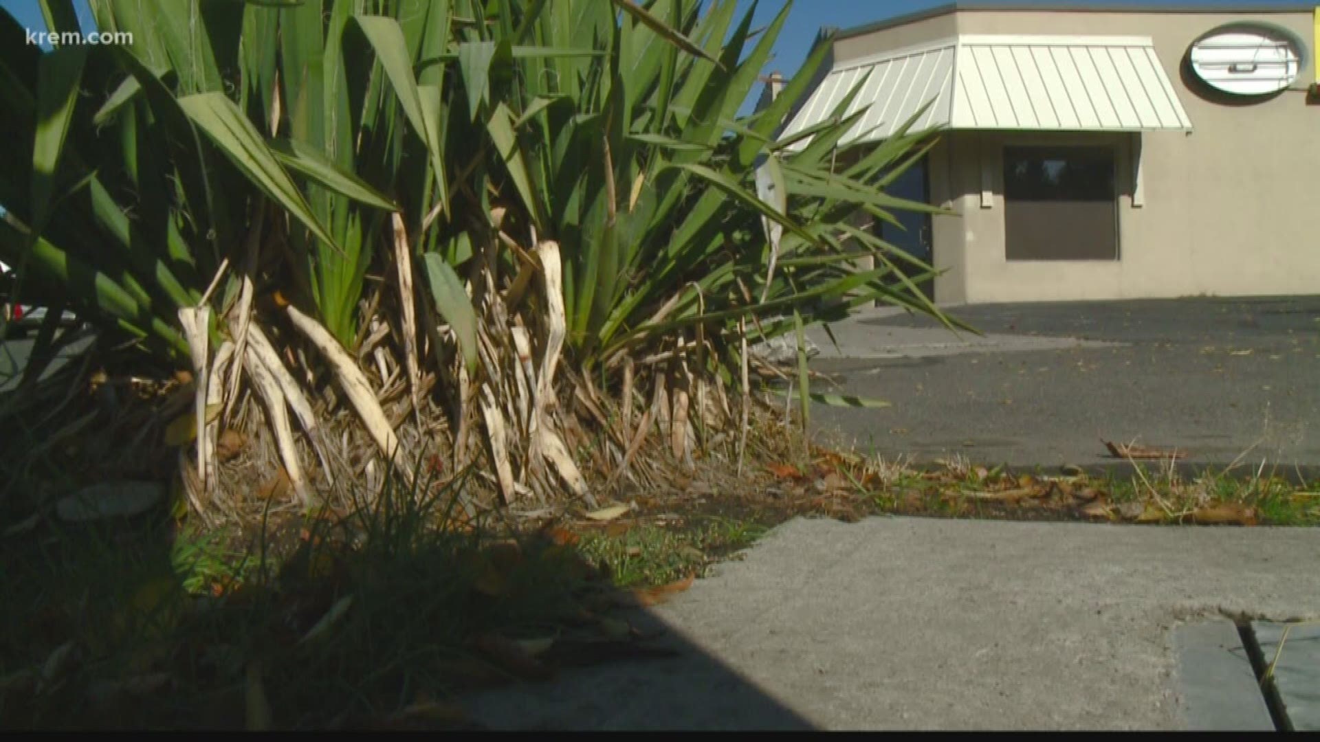 A new warming center in the works will house 120 people once it's fully open. Meanwhile, more than a dozen shelters are available for Spokane's homeless residents.