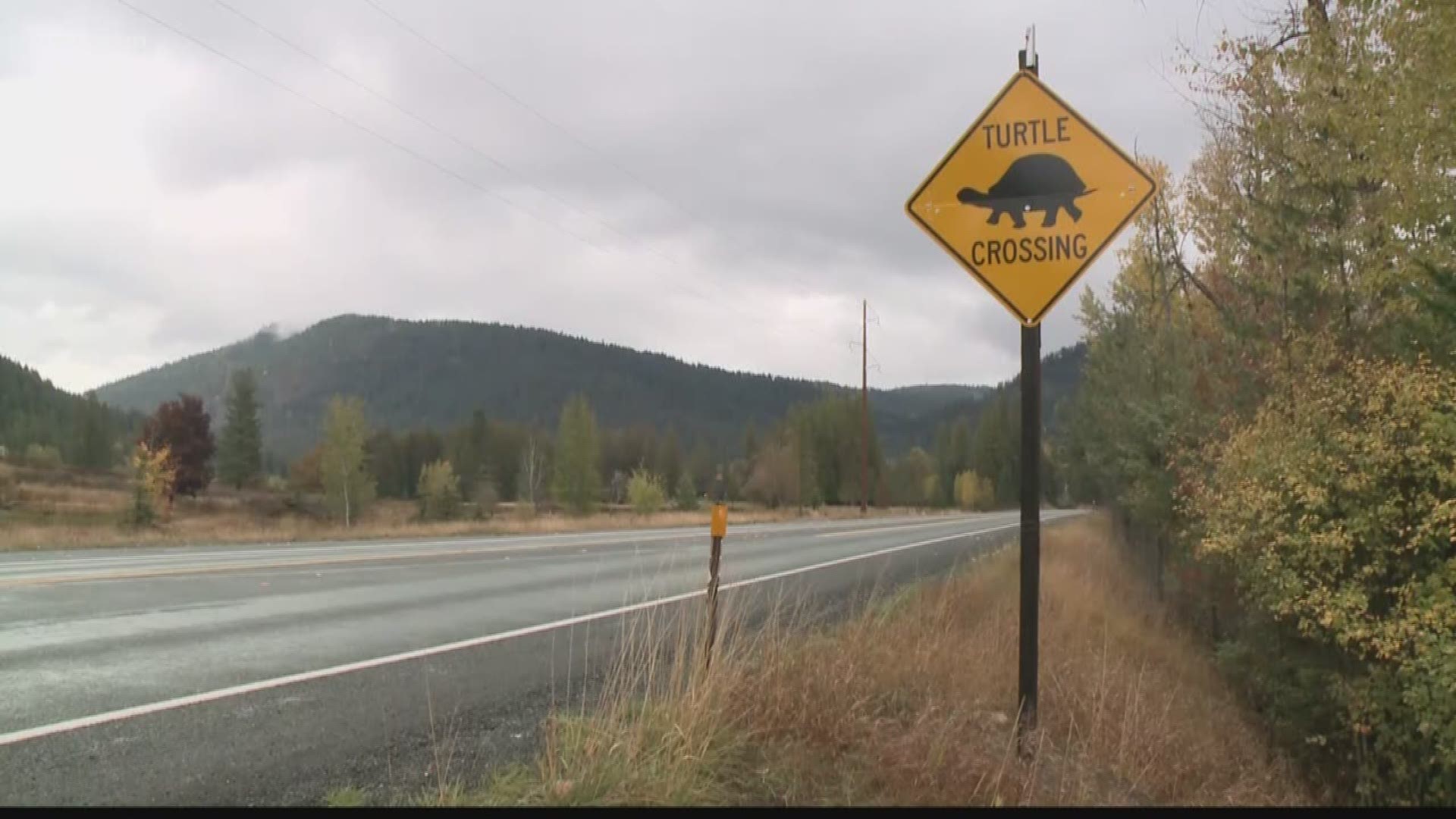 It was arguably one of the most unique road signs in North Idaho. For at least a couple years, a sign near Sandpoint warned drivers of turtles crossing the road.