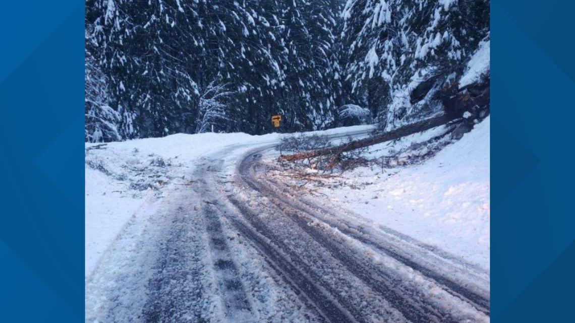 All lanes on highway to Mount Spokane reopen after downed trees caused closure - Vimarsana News