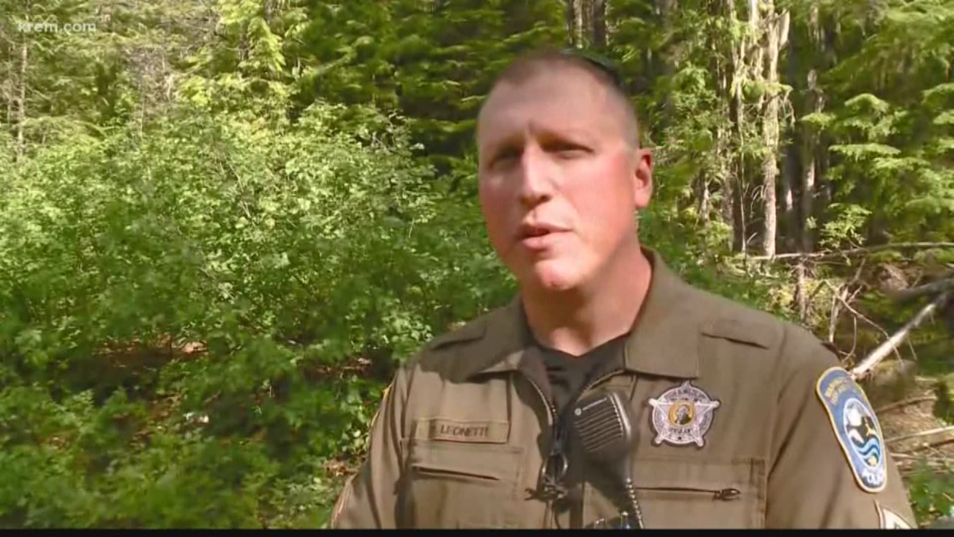 The Department of Fish and Wildlife says a man shot and killed a black bear after after it charged at him near Petit Lake in Pend Oreille County.