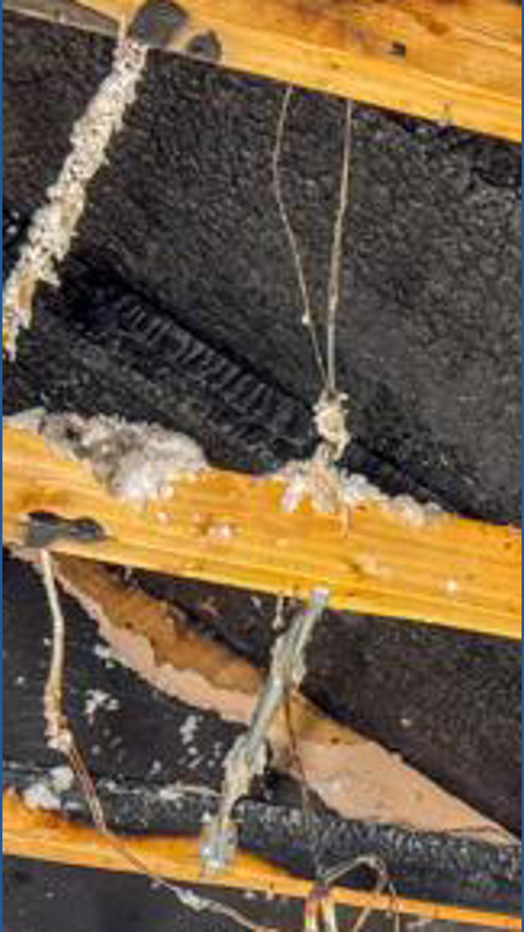 Lightning strike causes attic fire in unoccupied Spokane Valley duplex ...