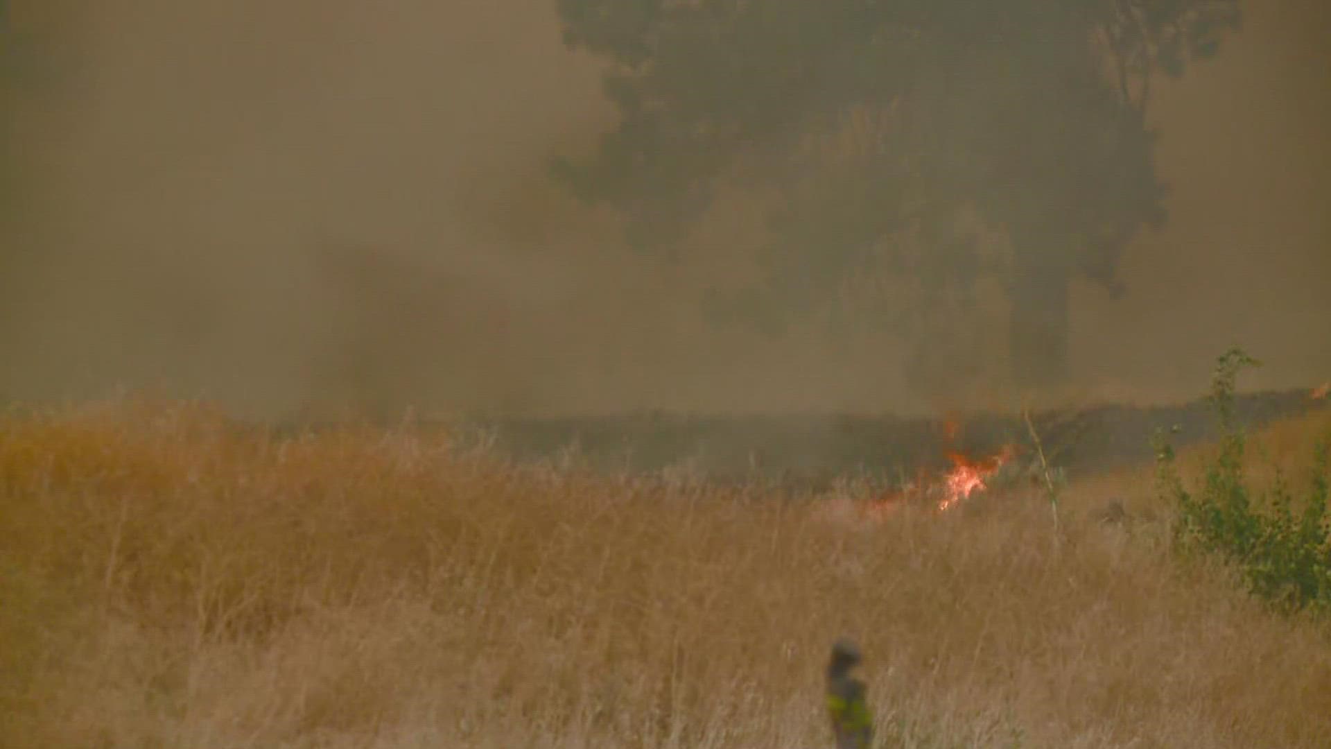 A rapidly-growing wildfire near Williams Lake in Cheney has spread to 300 acres.