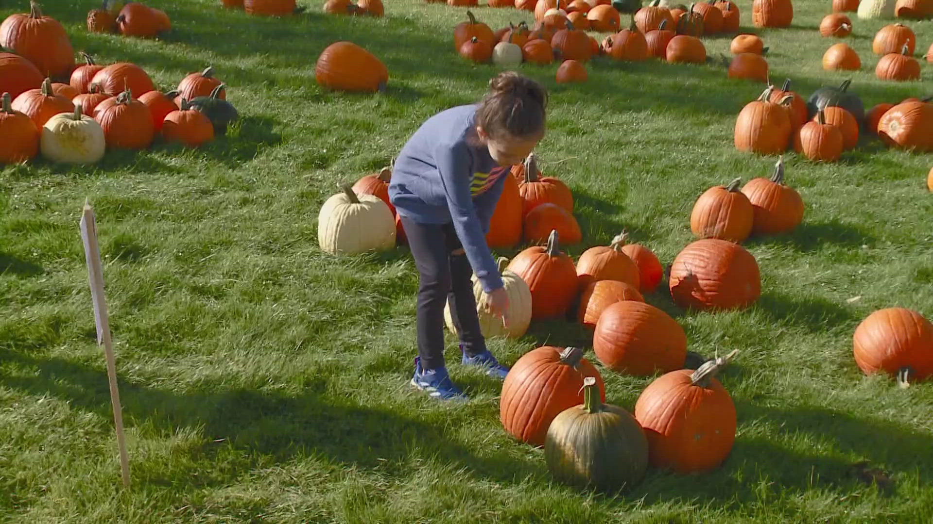 The Pumpkin Cowboy, Joshua Loera, joins us to talk about what people can enjoy at the final weekend of the Great Pumpkin Fest in downtown Spokane.