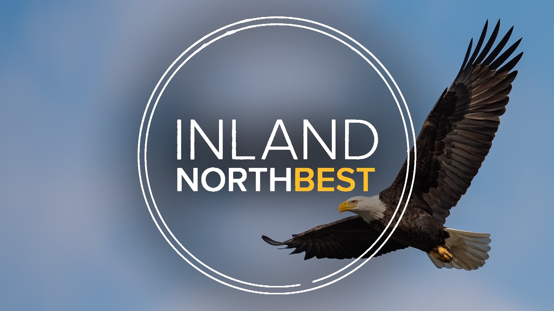 In this Inland NorthBest segment, Dave Somers takes viewers to the magic moment when some of those injured eagles took flight.