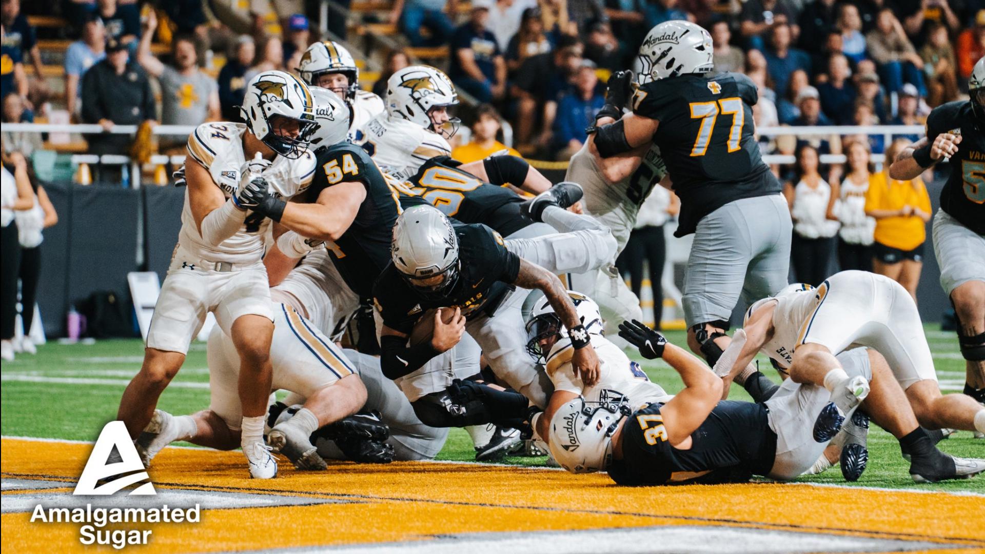 Idaho celebrates a last-second win over Montana State.