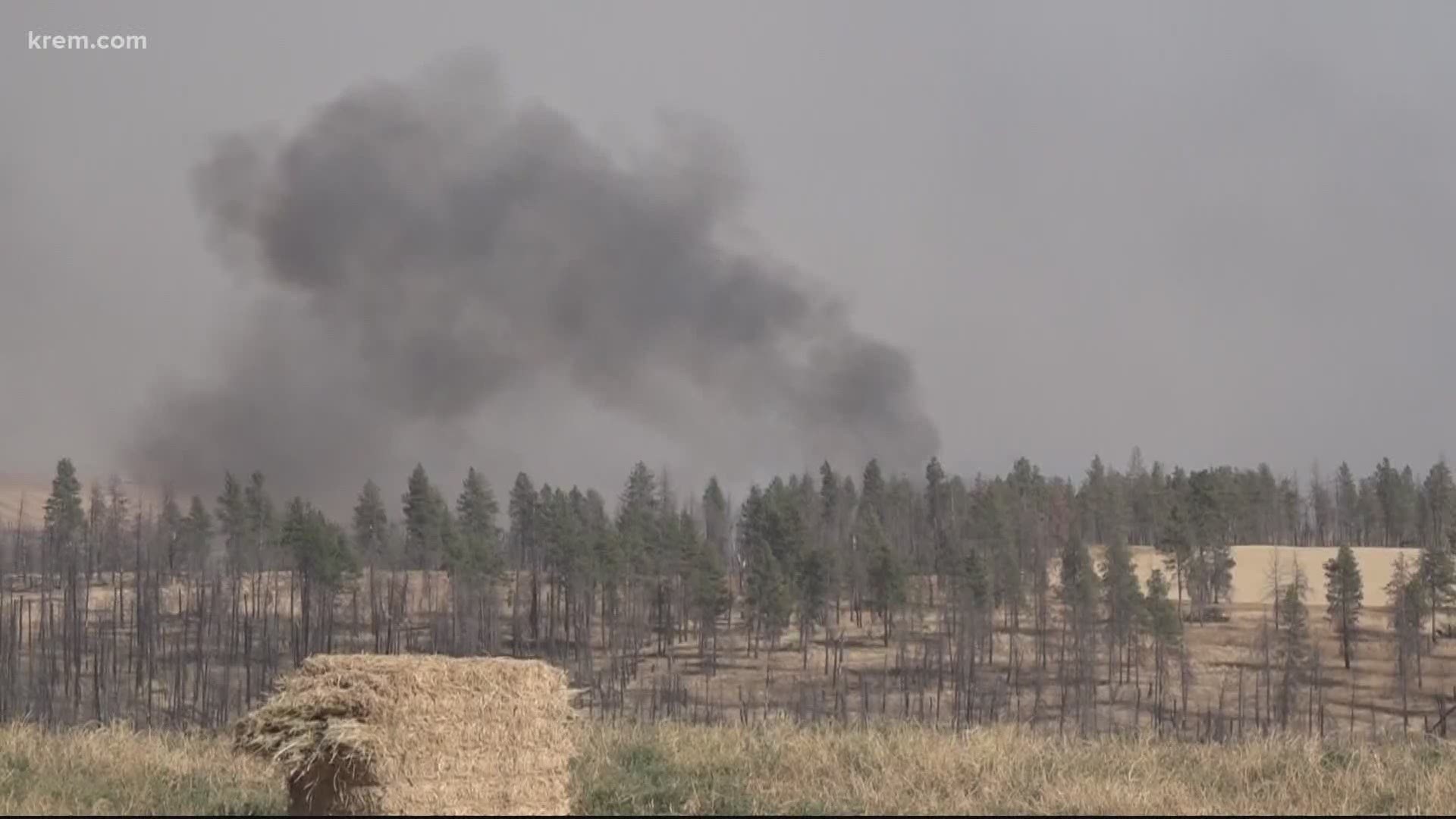 wildfire in spangle grows to 320 acres structures threatened krem com wildfire in spangle grows to 320 acres structures threatened