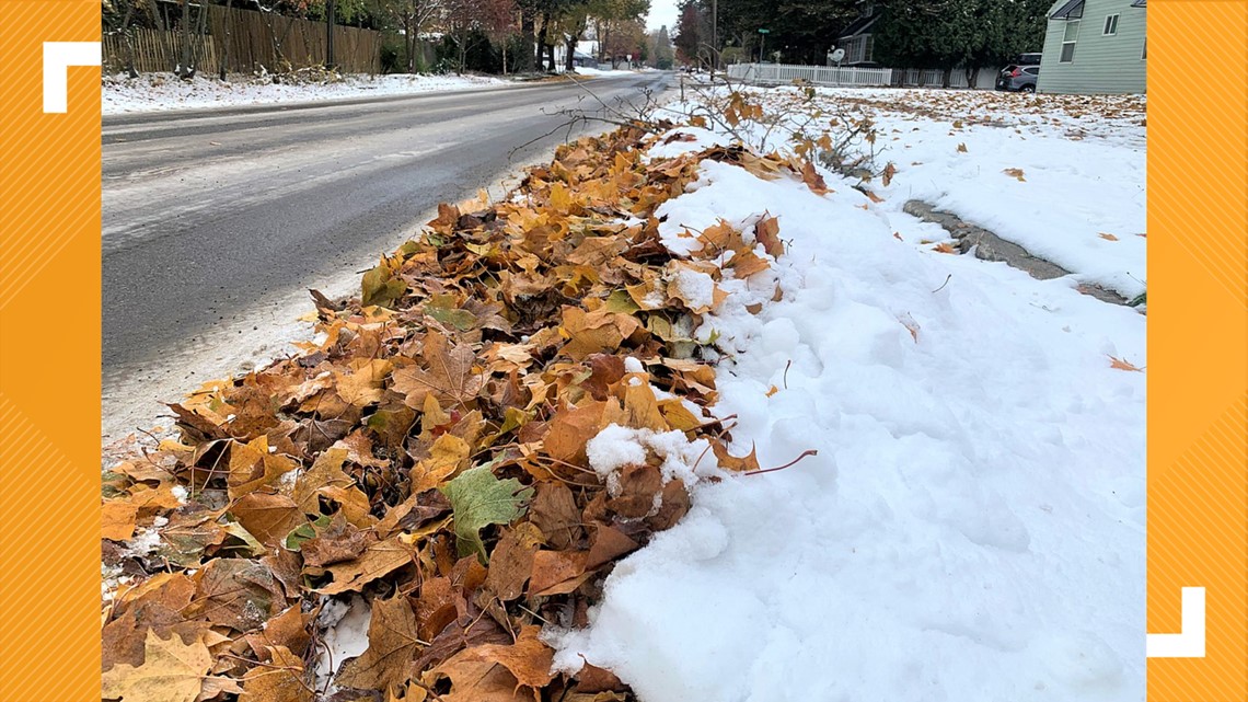 Coeur d'Alene Leaf Fest postponed - Vimarsana News