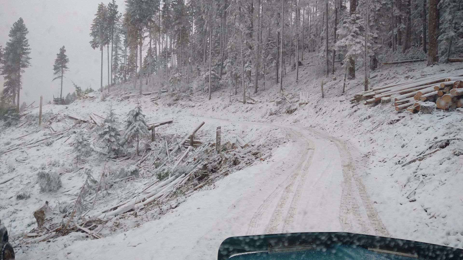 Snow out of Spokane weather forecast after record-breaking storm | krem.com