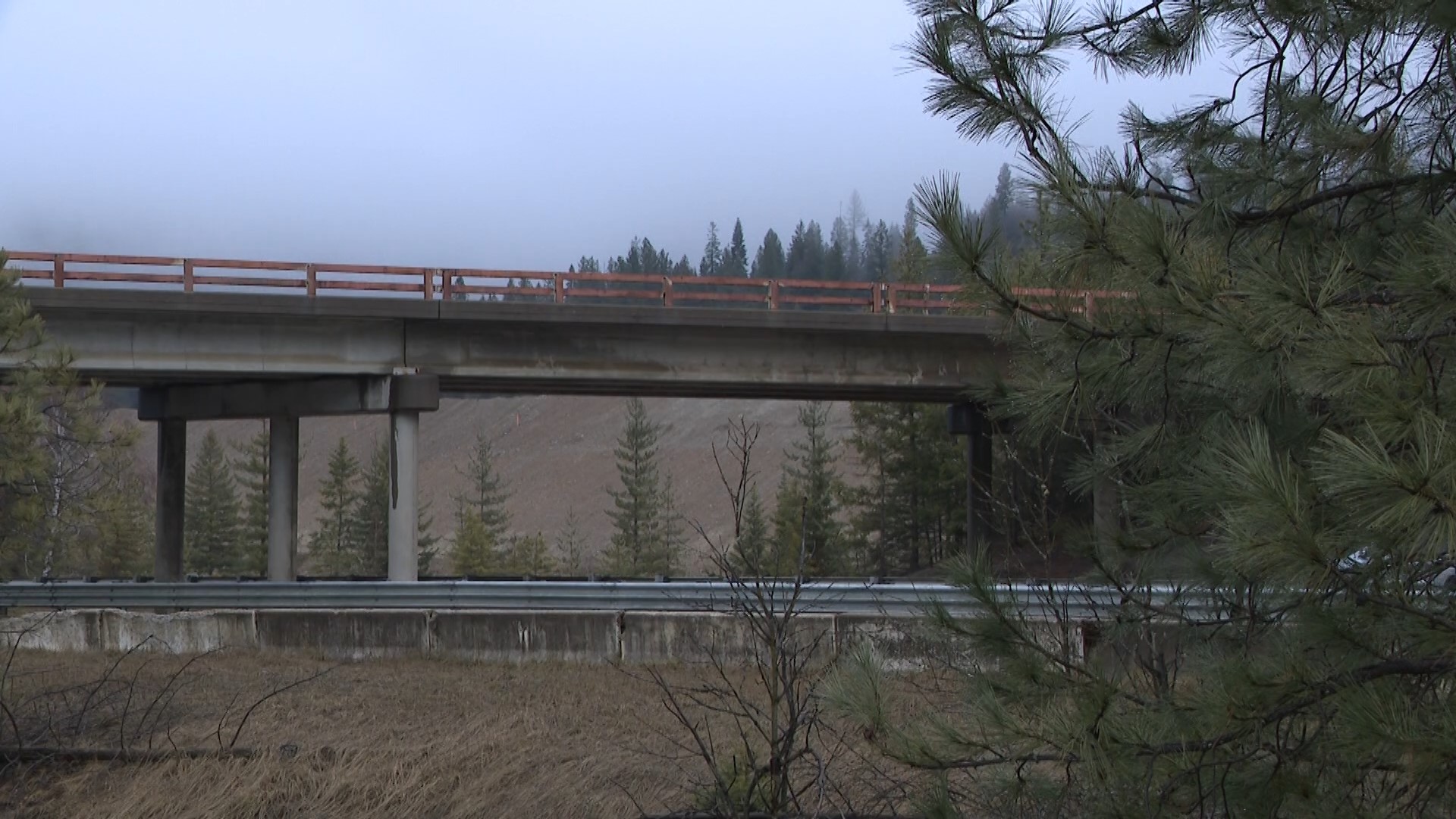 The bridge to nowhere crosses I-90 in Osburn, Idaho. More than 50 years after it was abandoned, the bridge will finally welcome traffic - of the animal variety.