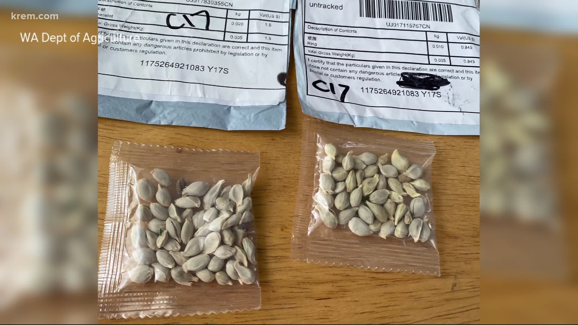 The seeds are sent in packages usually saying the contents are jewelry.