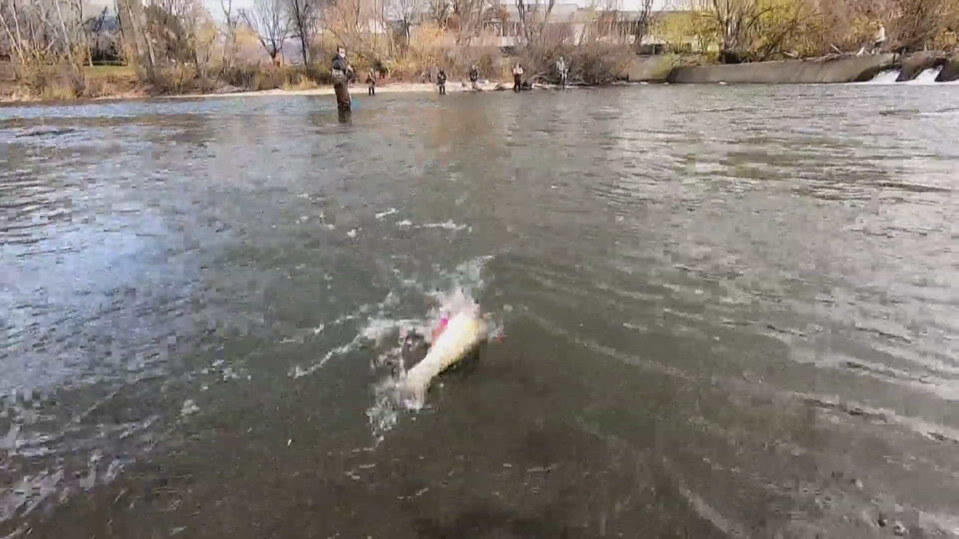 You do not need a license to fish in Idaho on Saturday, June 14!