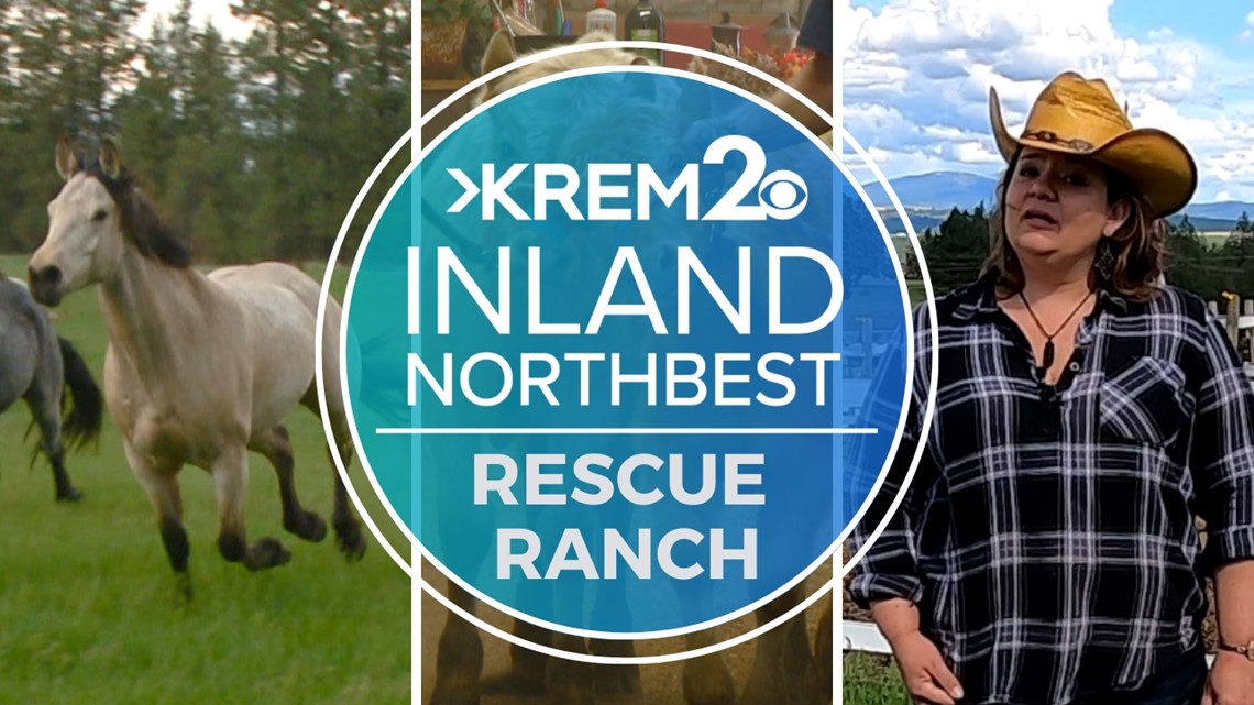Spokane County ranch rescues animals and lets them roam free