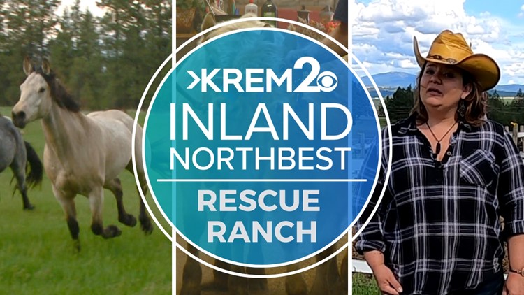 Spokane ranch rescues animals and hospitality