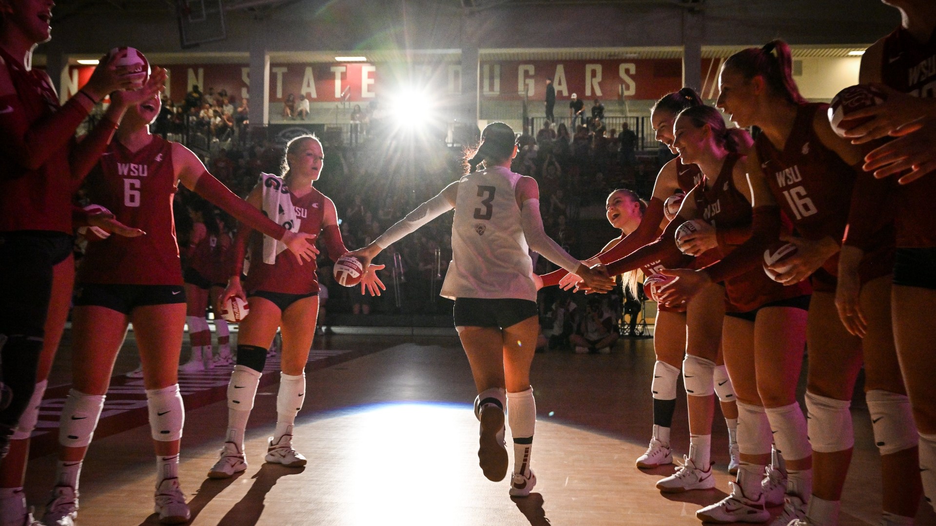 WSU fights hard, drops two close sets in loss