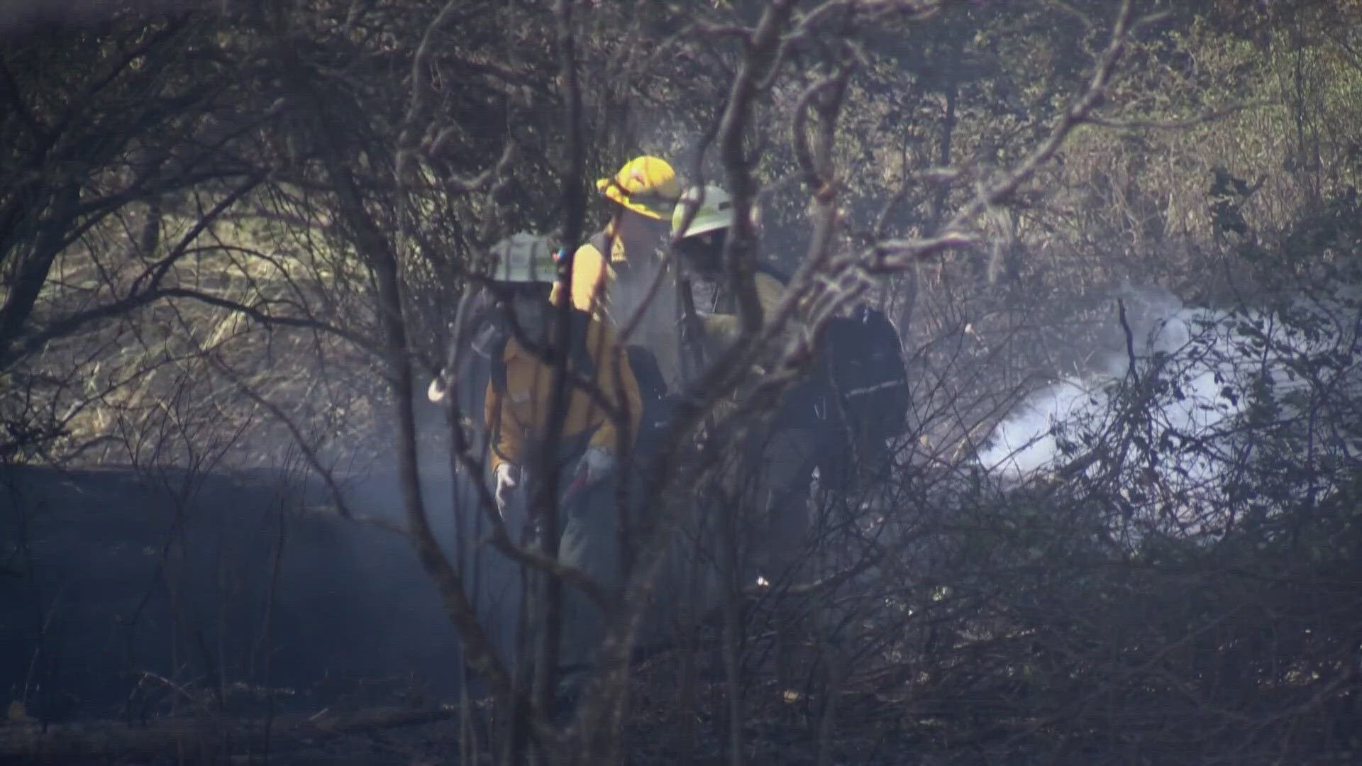 Fire crews say the fire was human caused.