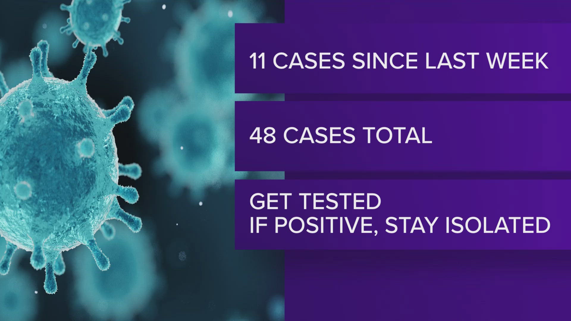 48 cases of pertussis, which is commonly known as "whooping cough," were found in the student population of WSU and the surrounding community as of Nov. 1.