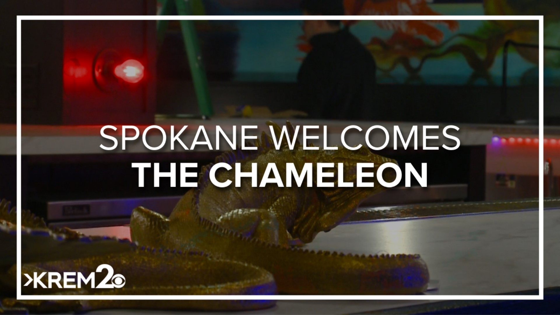 The Chameleon takes over Lucky You Lounge