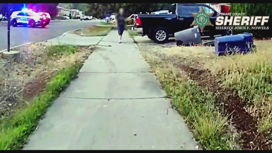 Repeat DUI offender who hit child riding bike in Spokane Valley sentenced to nine months in prison