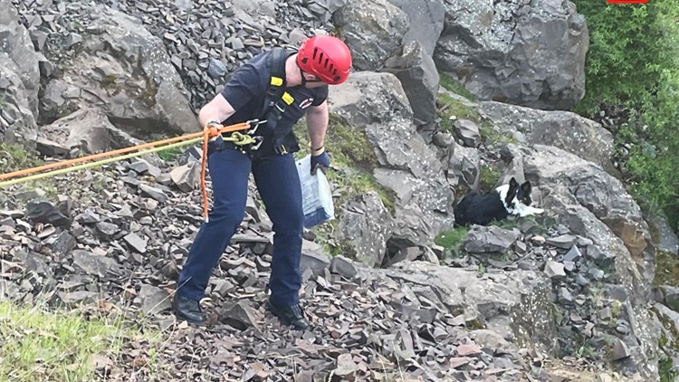 Spokane Valley fire crews save dog trapped on cliff