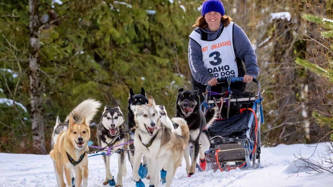 Idaho Sled Dog Challenge's Warm Lake Stage Race begins this week