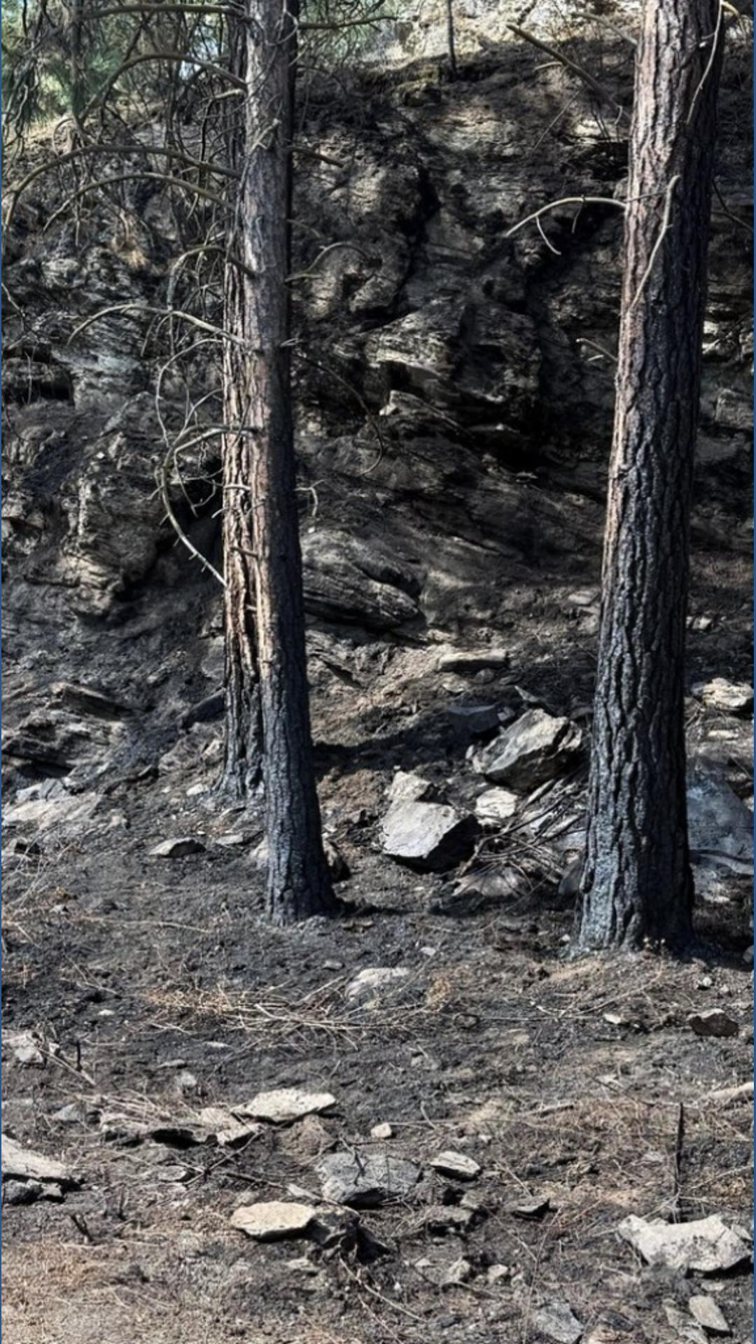 Spokane Valley Fire puts out another set of small fires near Mirabeau ...