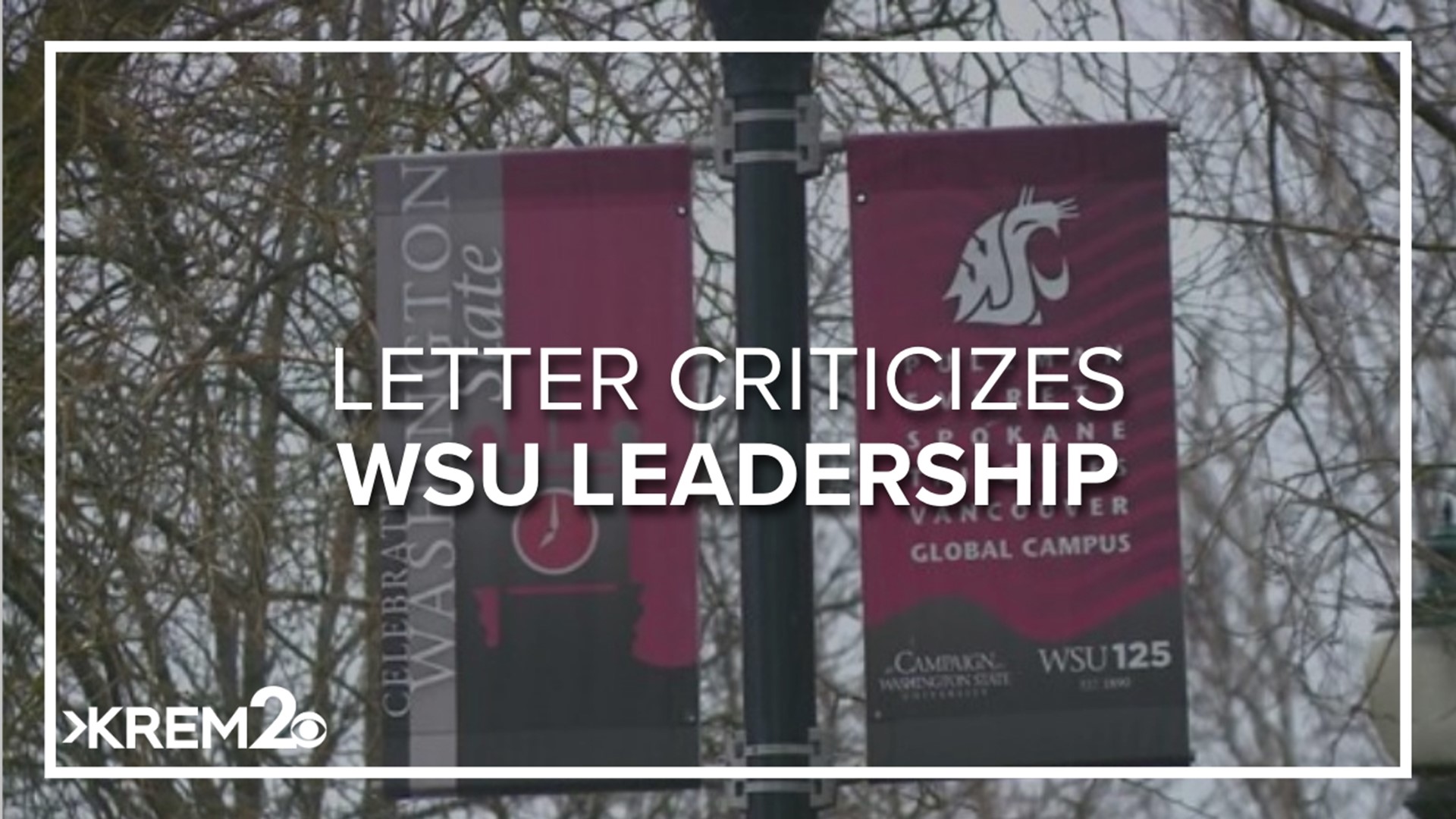 Three professors with the university are calling for "immediate change" in leadership. They claim they're backed by more than 200 staff members.