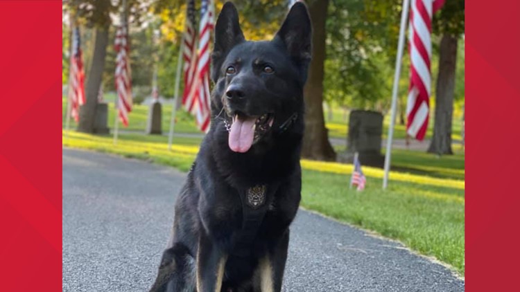 'This is their dog' | K-9 Zeus retires from Spokane Police Department after 7 years of service