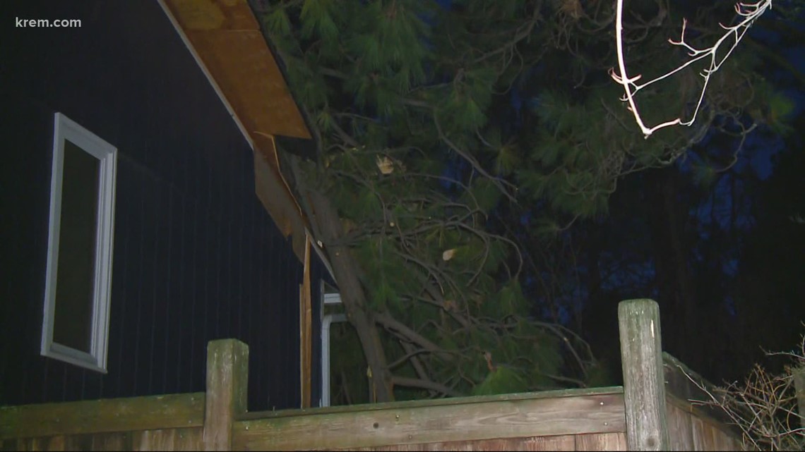 Woman trapped by falling tree through roof