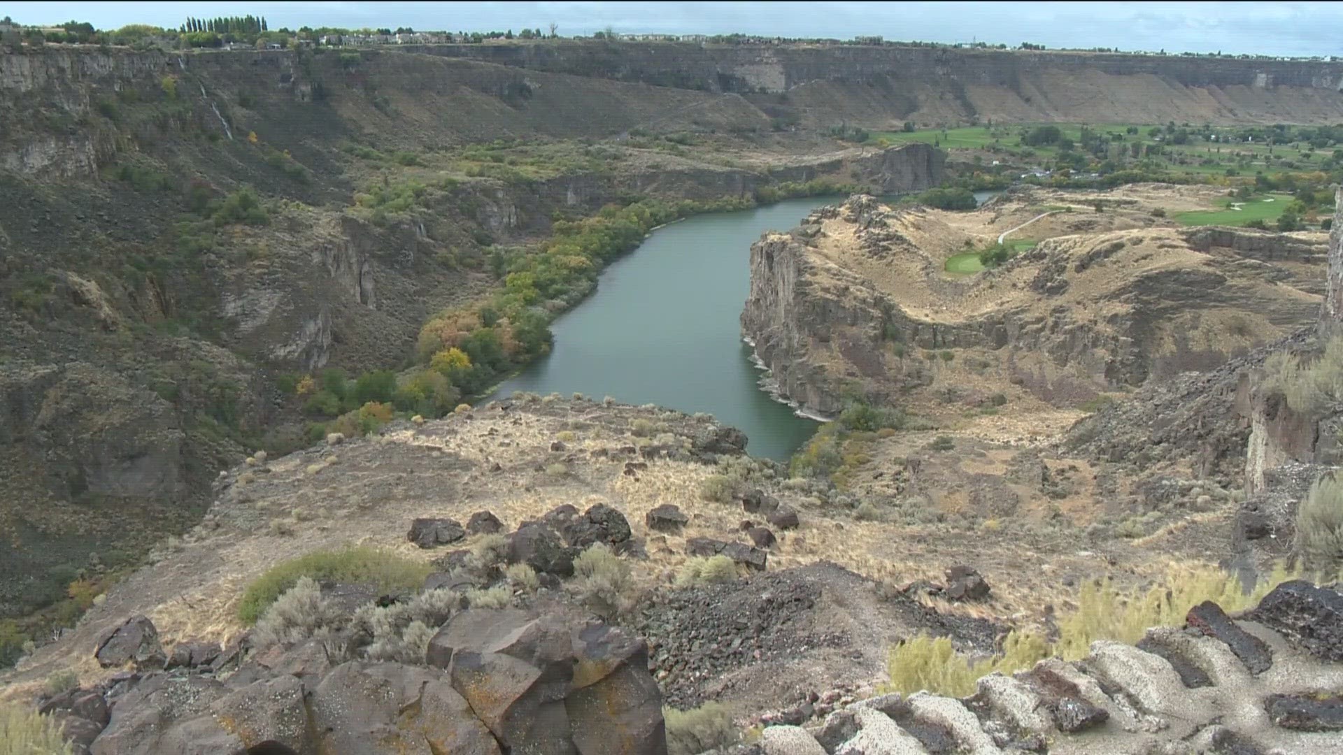 Multiple fish species, including sturgeon, died from the treatment used to eradicate the invasive quagga mussels from the mid-Snake River