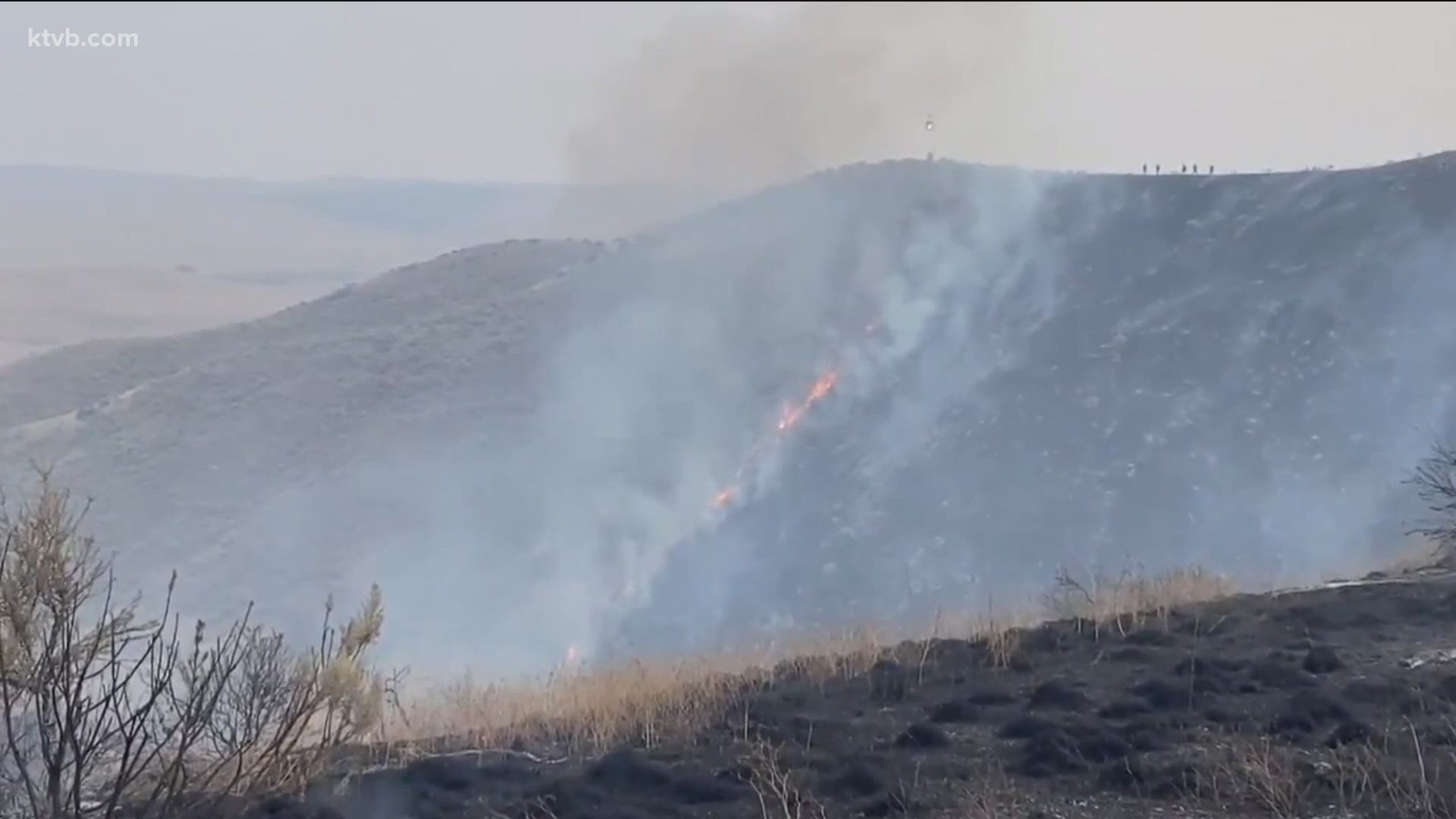 The pilot, identified as Ricky Fulton, was flying retardant over the Schill Fire in southern Idaho when his plane went down on Tuesday.